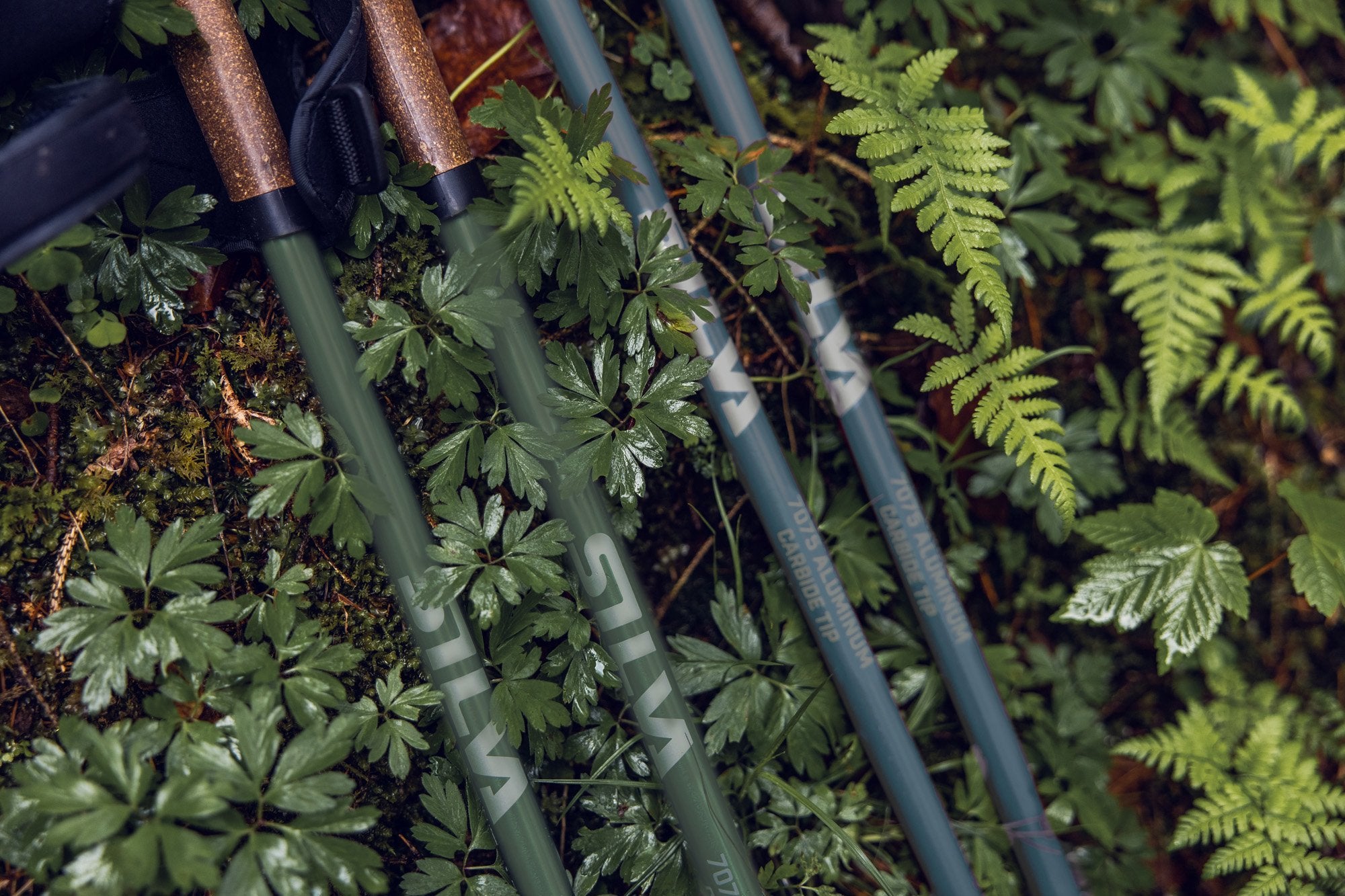 Walking Poles