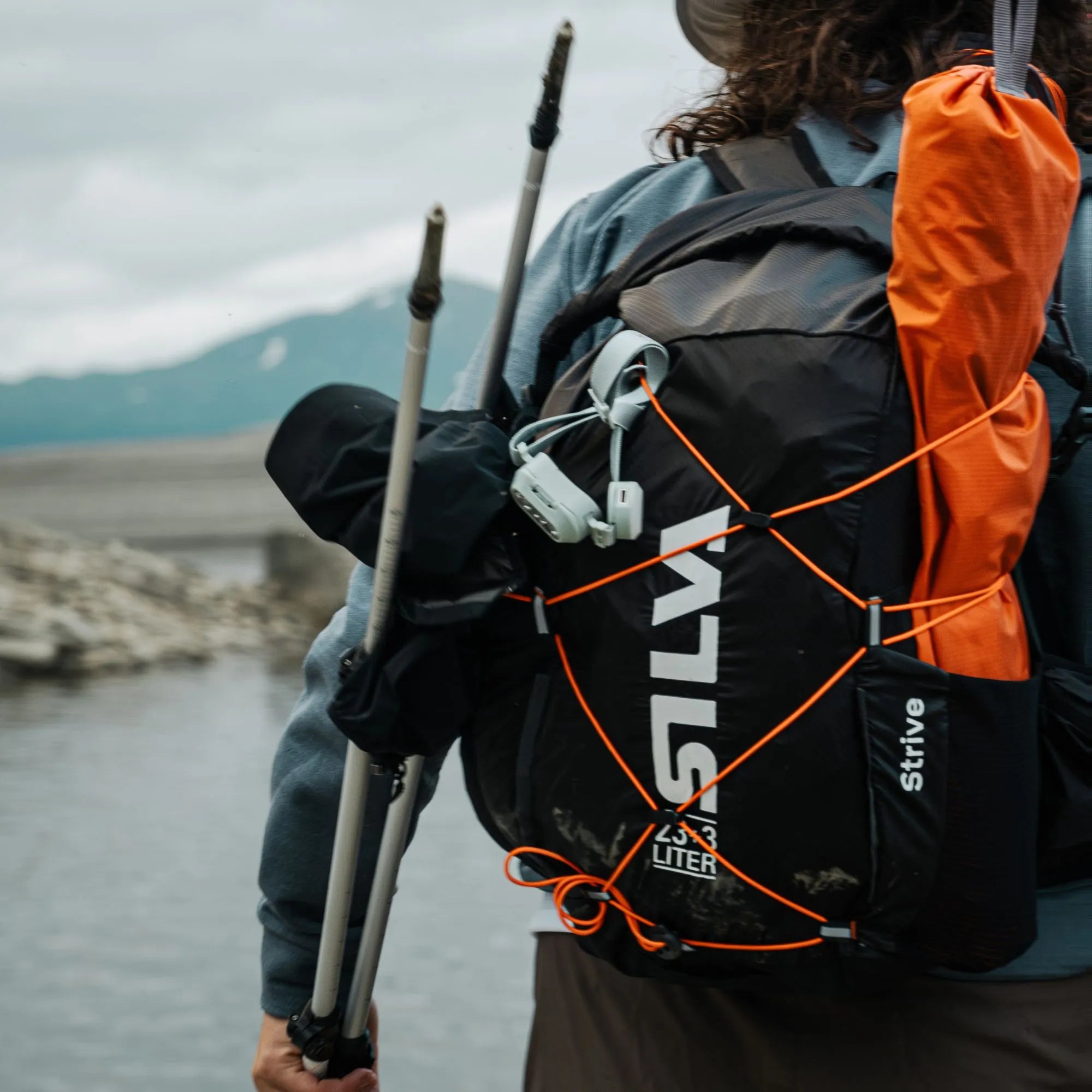 NEWSLETTERS PRIMUS 20