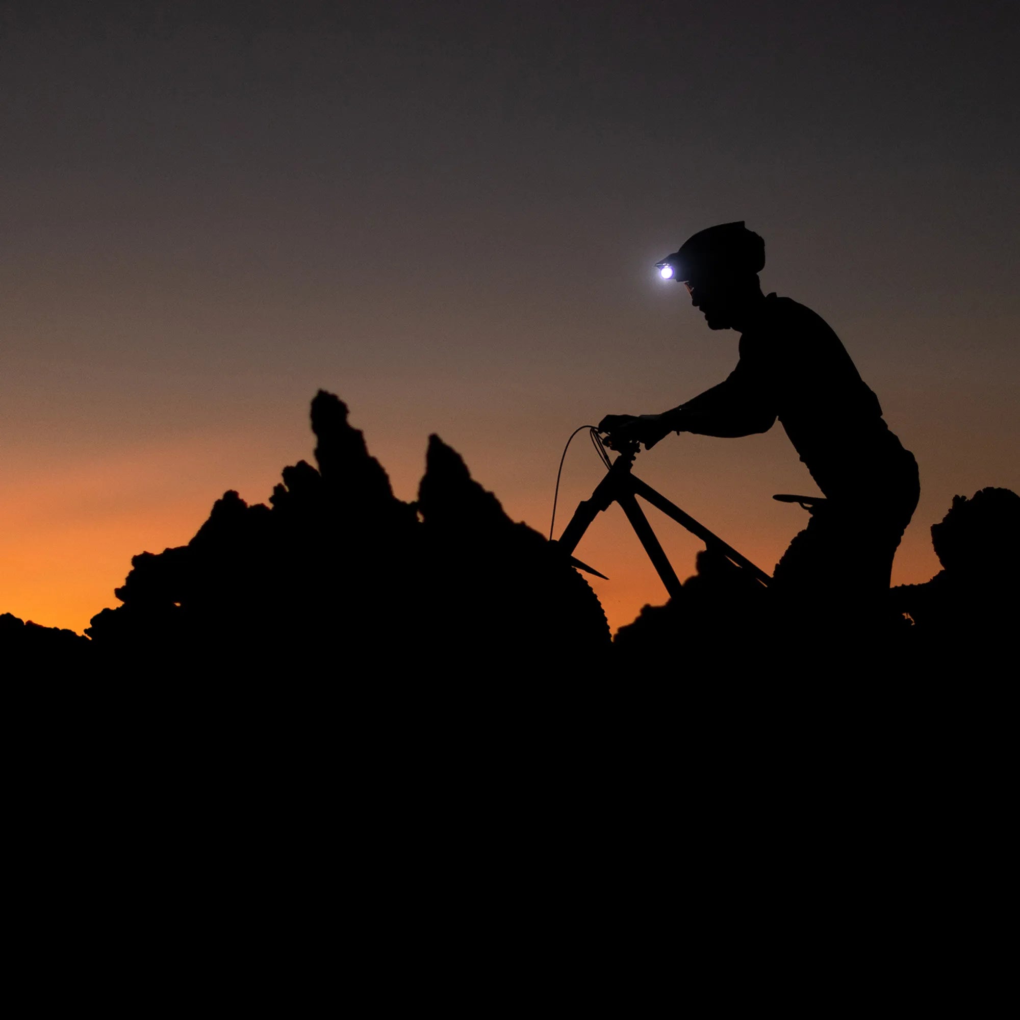 Photo 04-03-2022 12 51 50 CROP