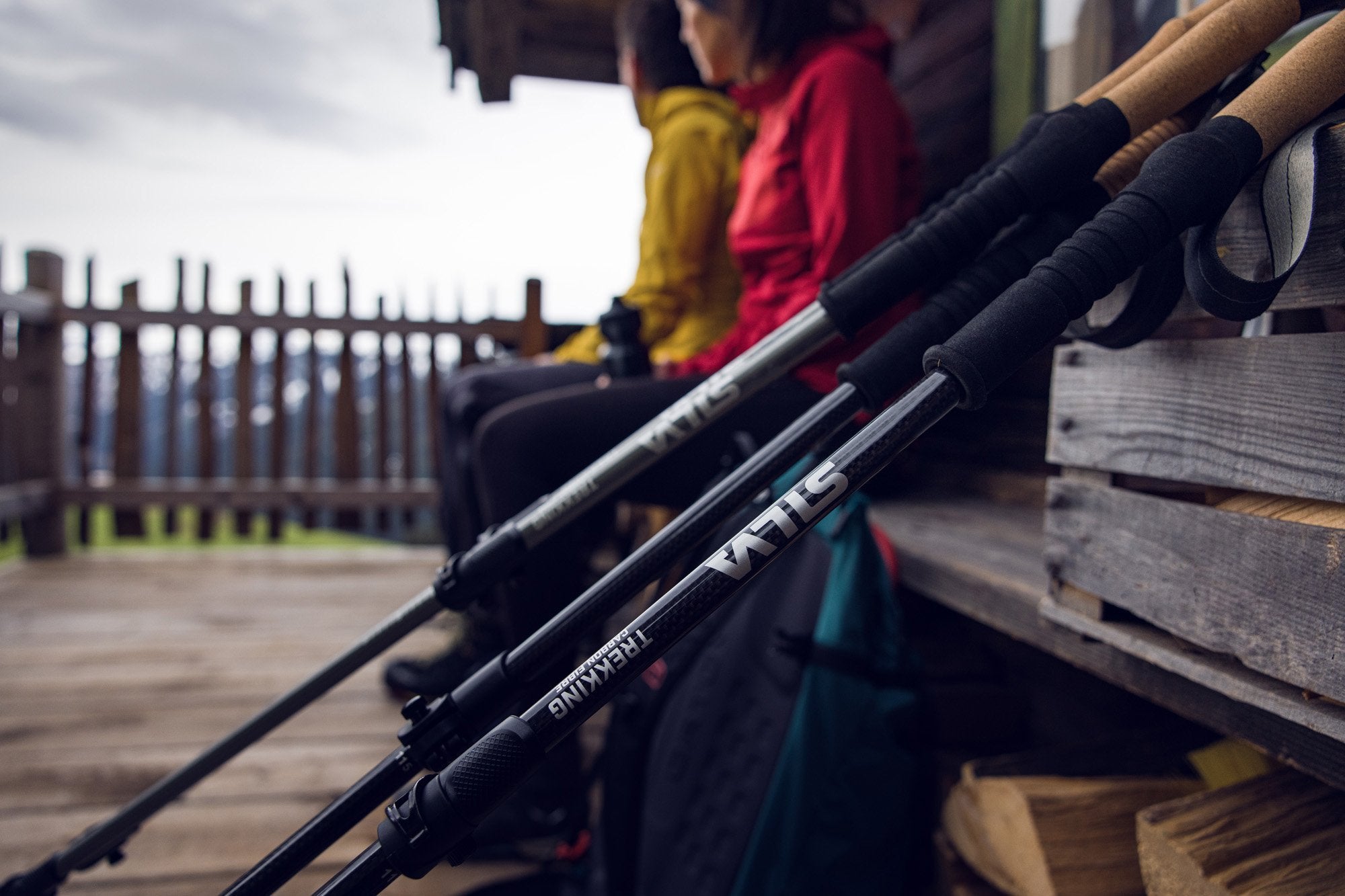Trekking poles