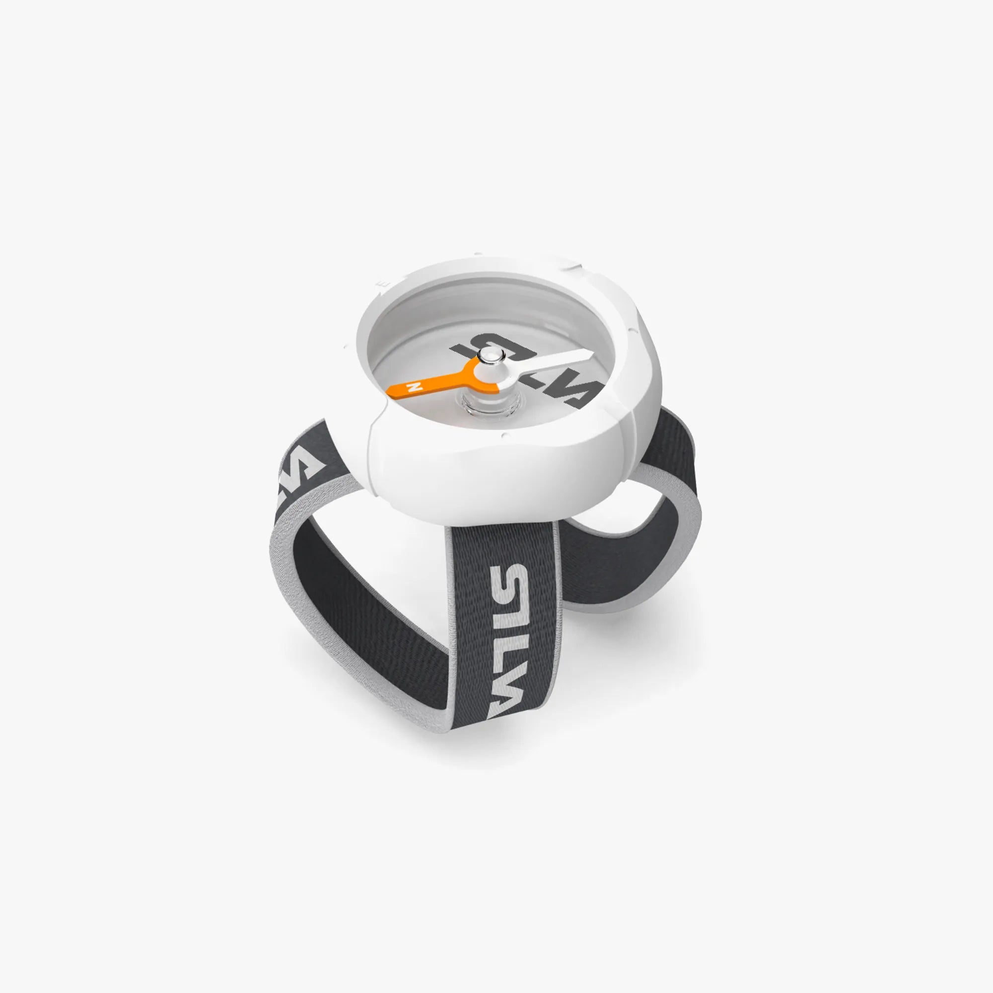 Begin_37905_main-PATH edited GREY