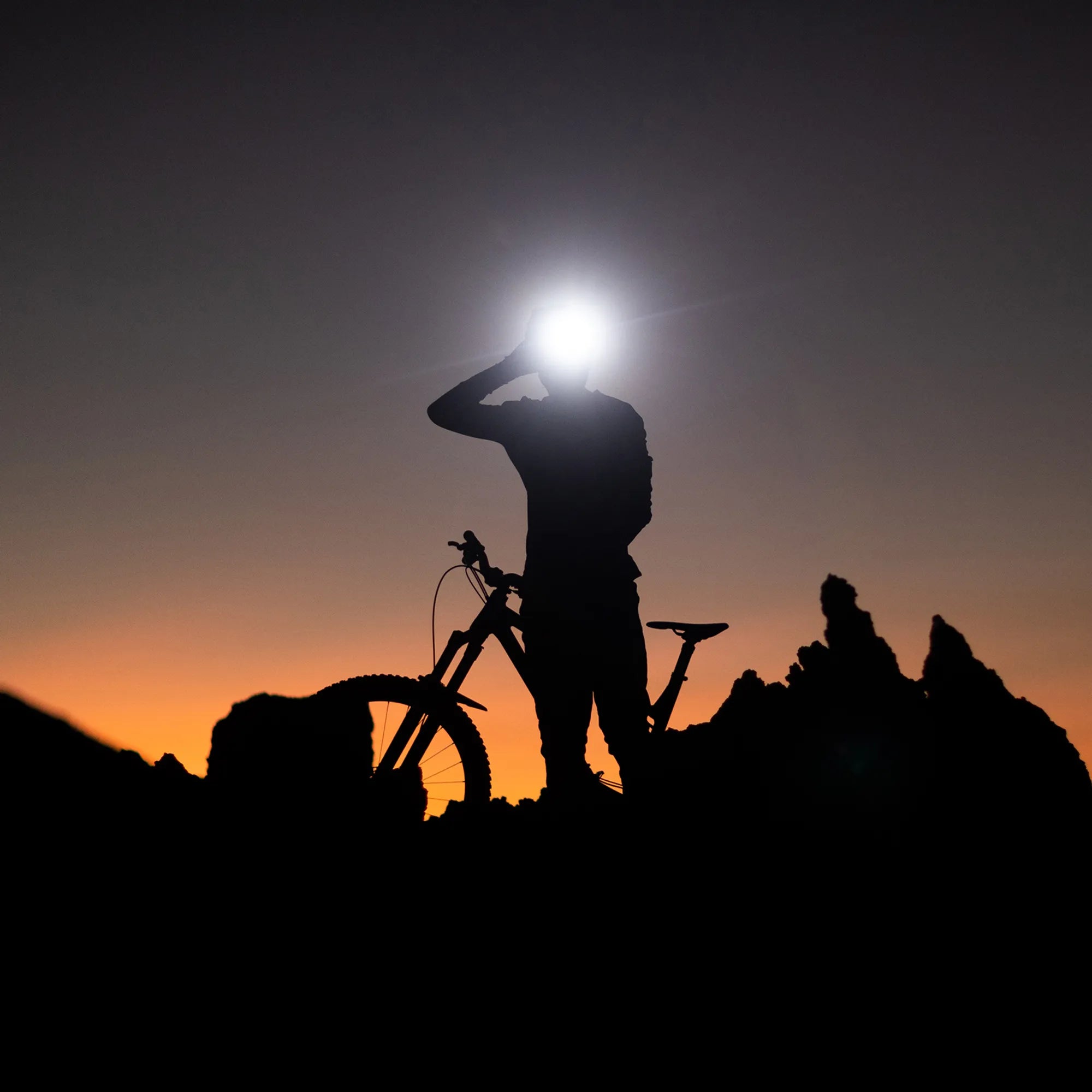 Photo 04-03-2022 12 51 54 CROP