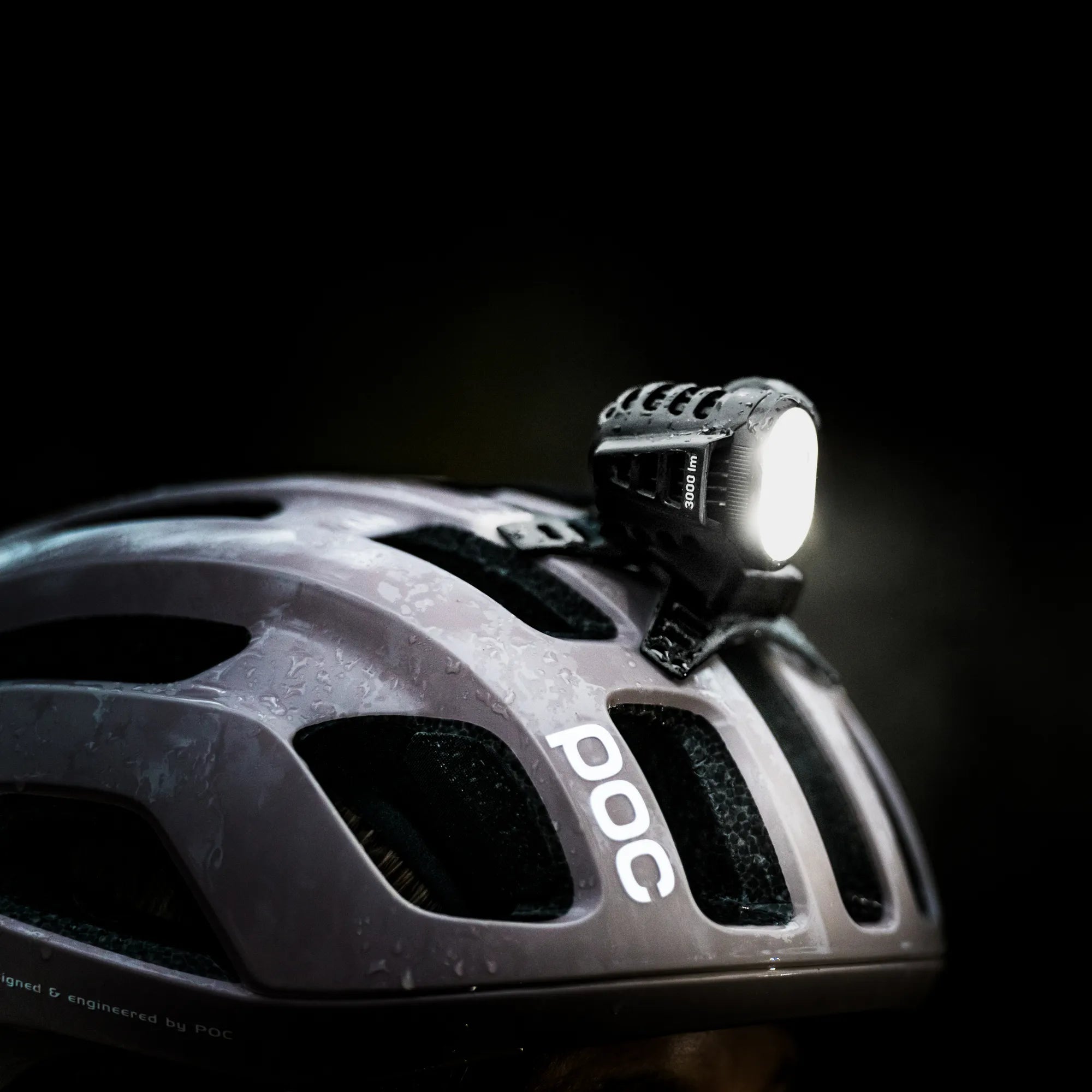 Silva_free221005_M184232 CROP